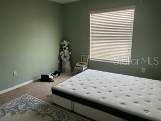 Home in RIVERVIEW — photo 15