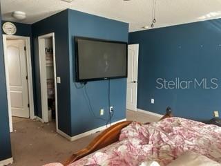 Home in RIVERVIEW — photo 17