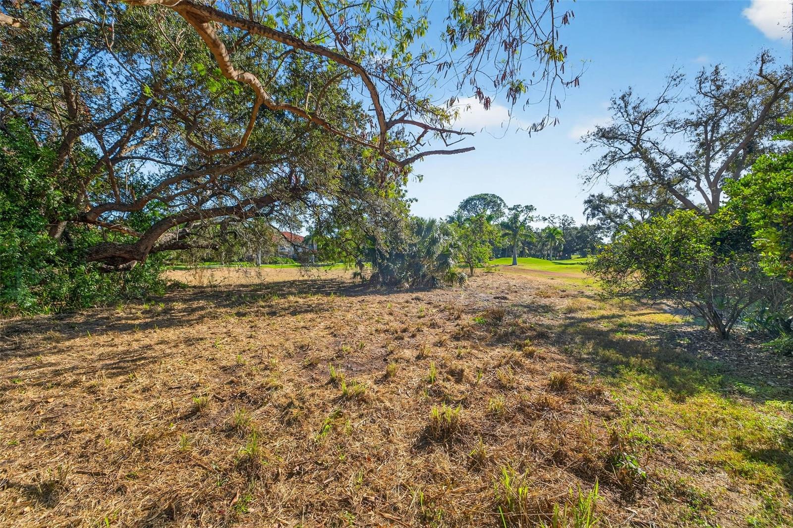 ROYAL PALM DR S — photo 11