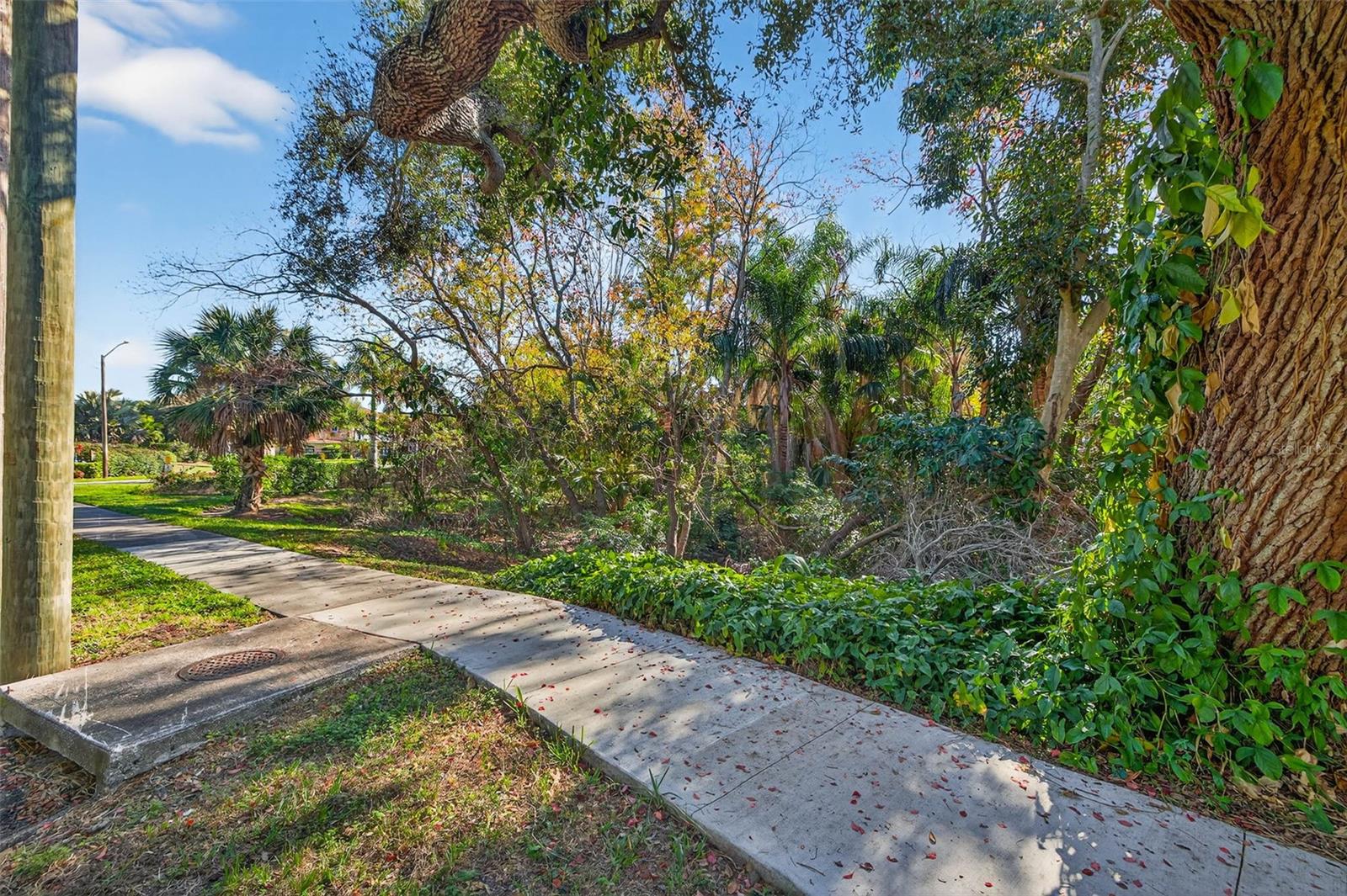 ROYAL PALM DR S — photo 6