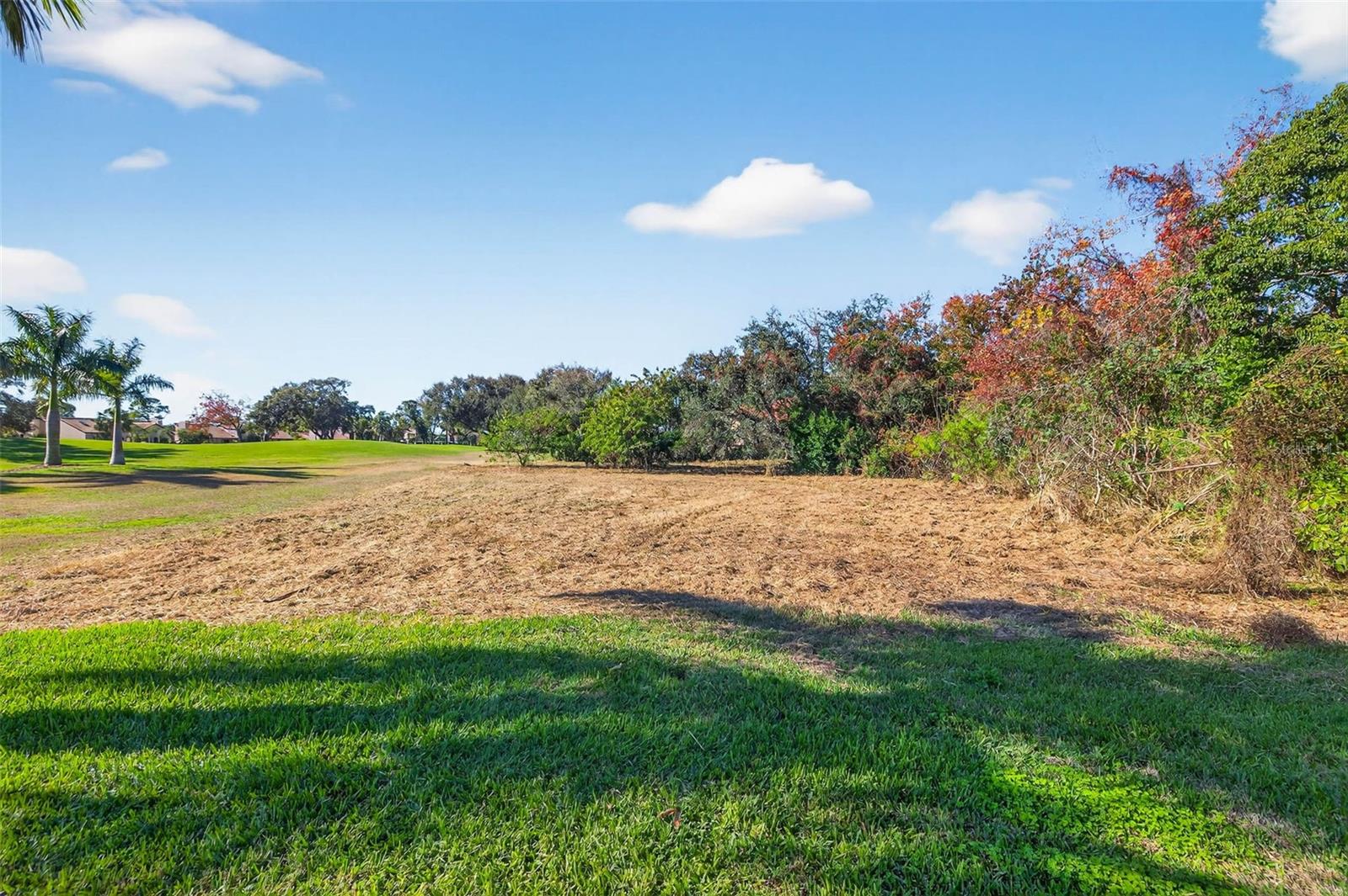 ROYAL PALM DR S — photo 9