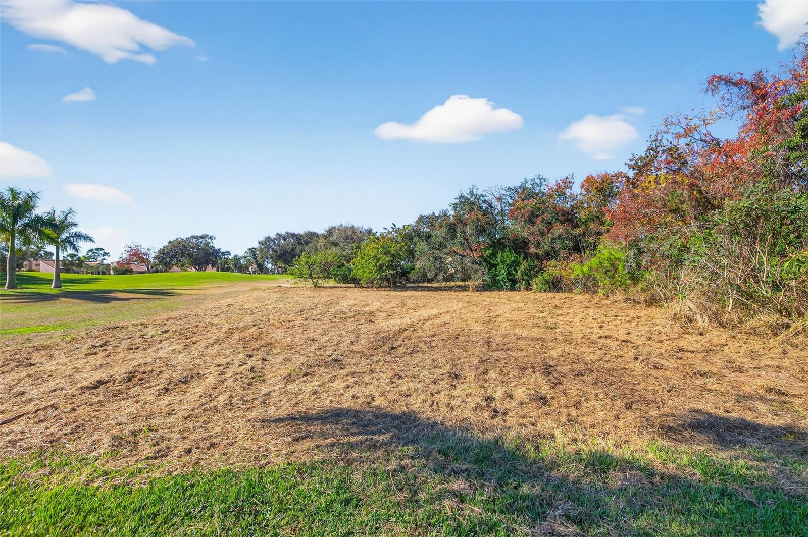 ROYAL PALM DR S — photo 10