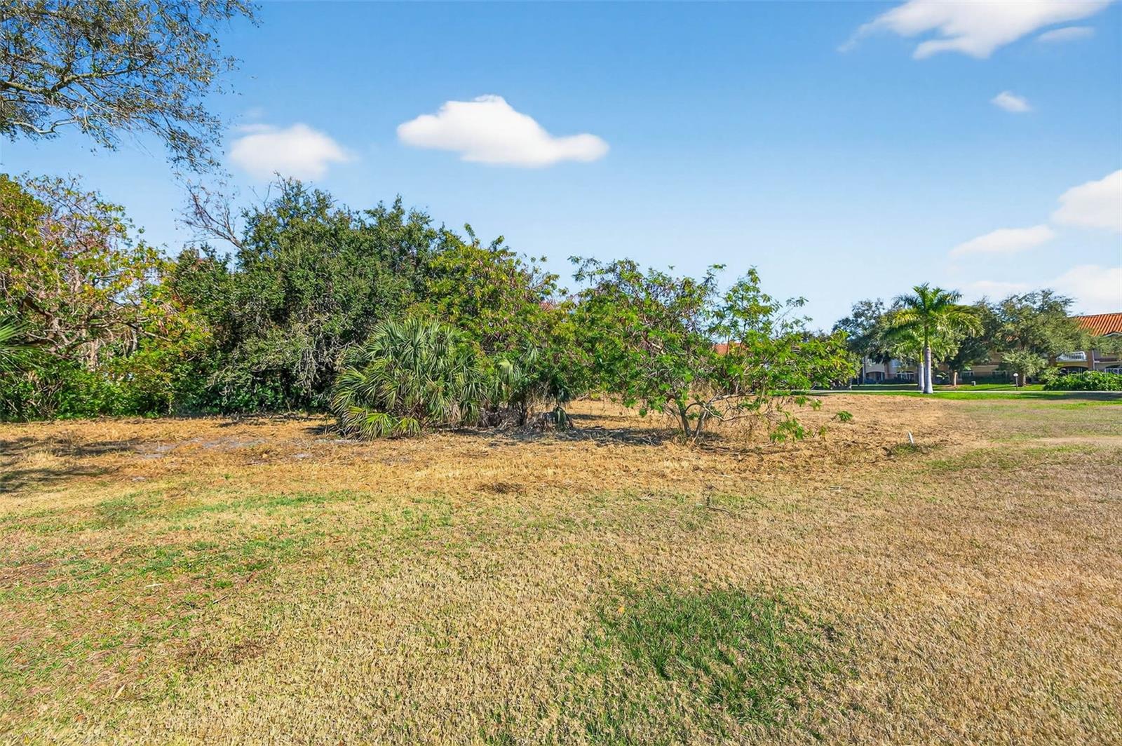 ROYAL PALM DR S — photo 7