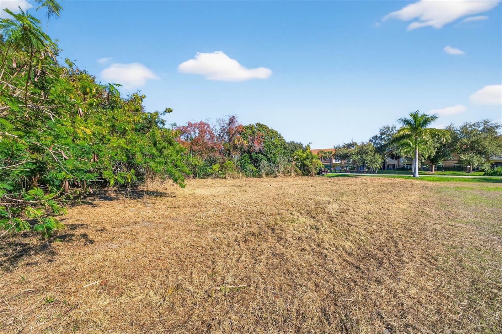 ROYAL PALM DR S — photo 8