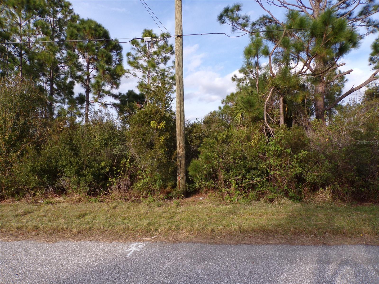 MEROLLA RD — photo 5