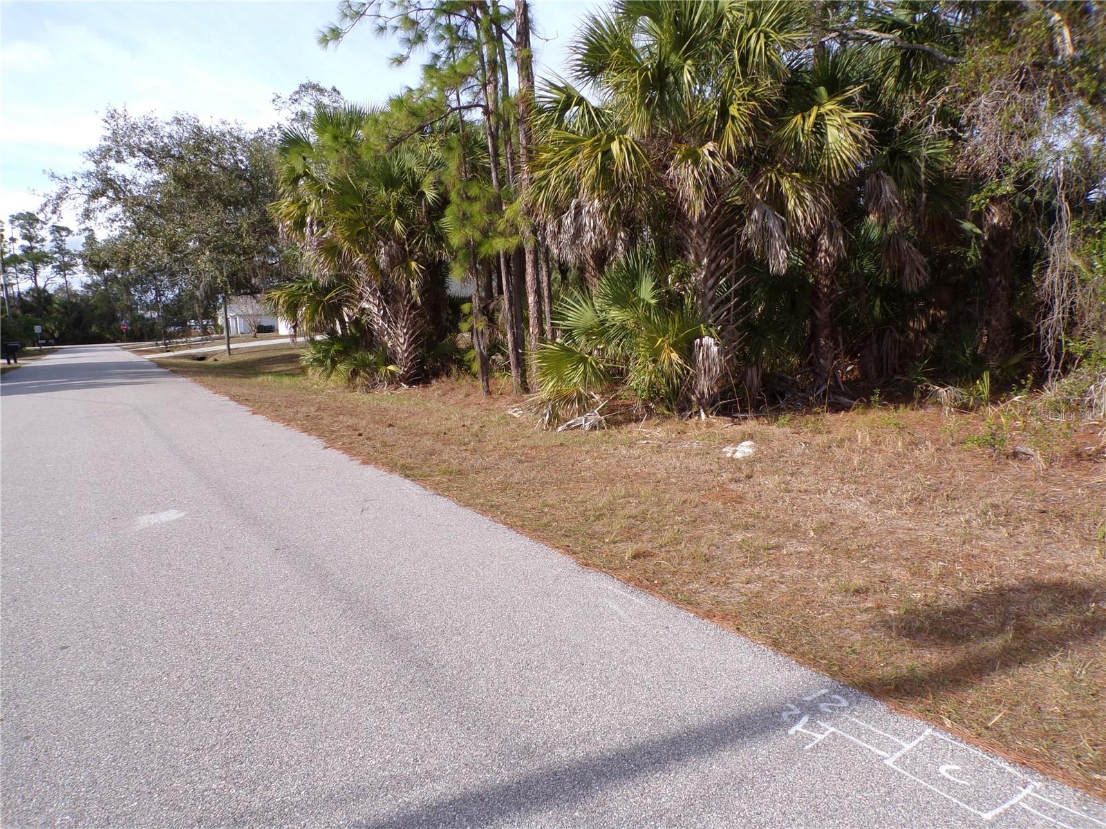 EVANGELINA LN — photo 6
