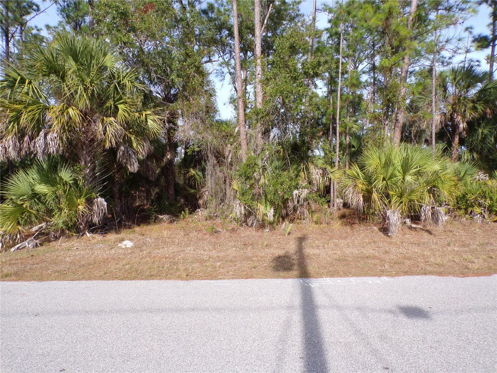 EVANGELINA LN — photo 5