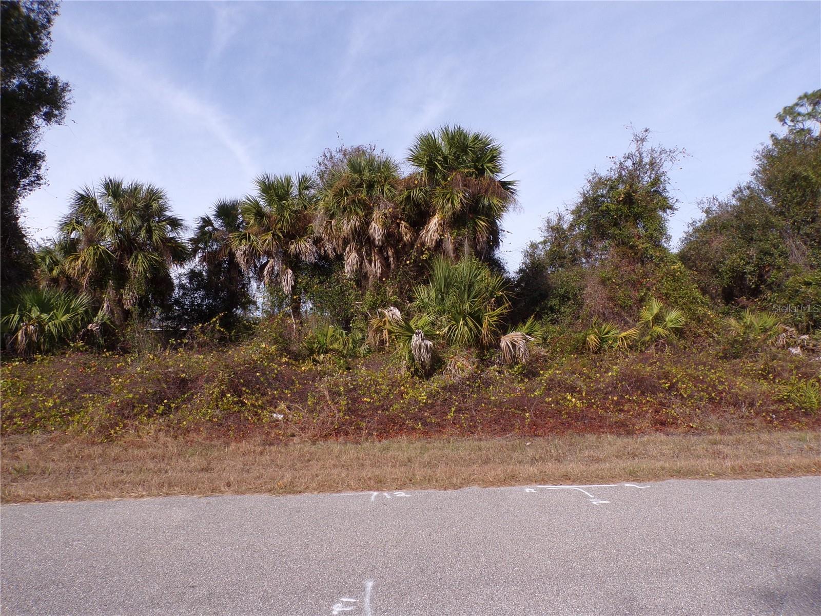 BREWSTER RD — photo 2