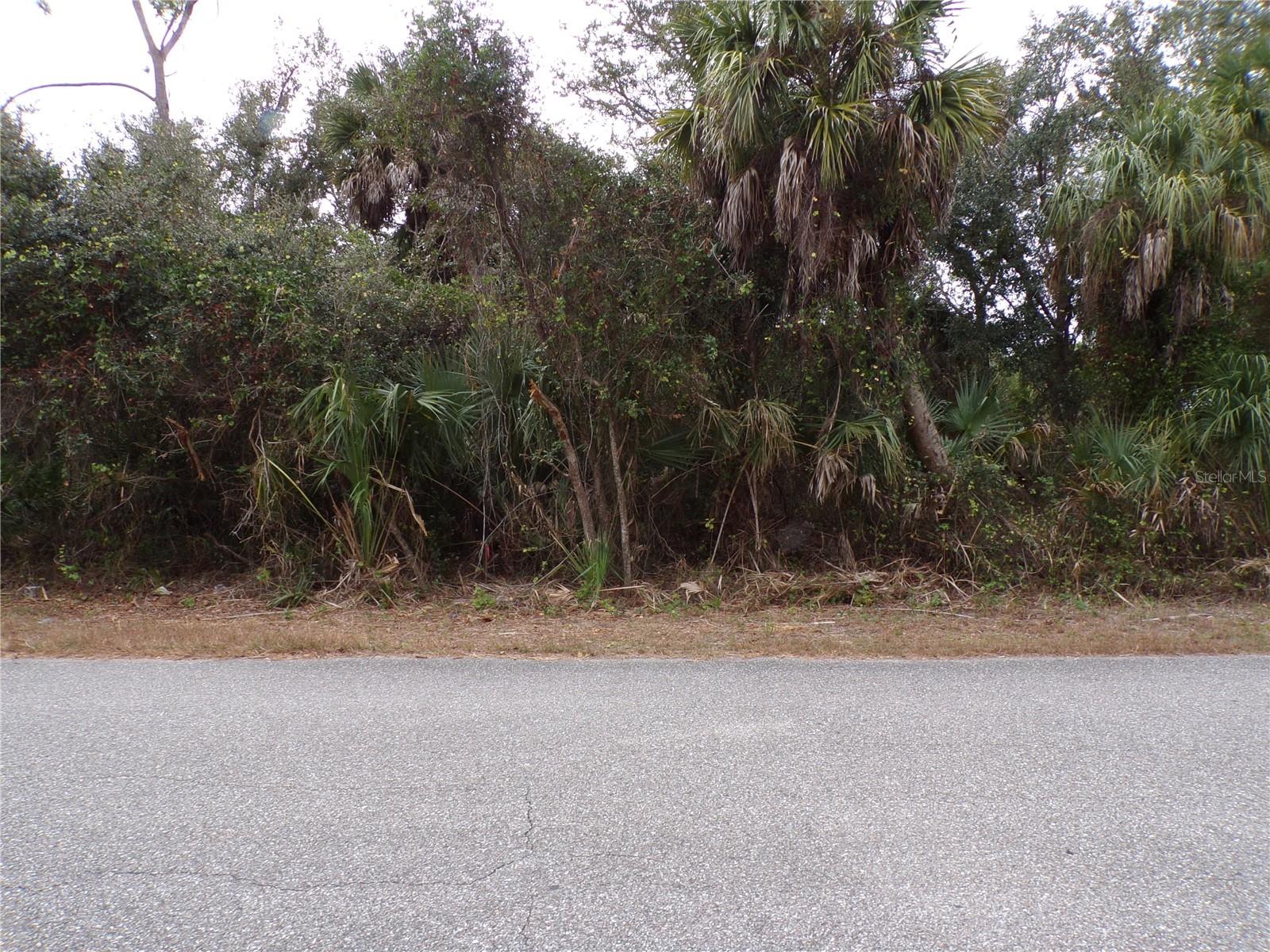 ENID LN — photo 5