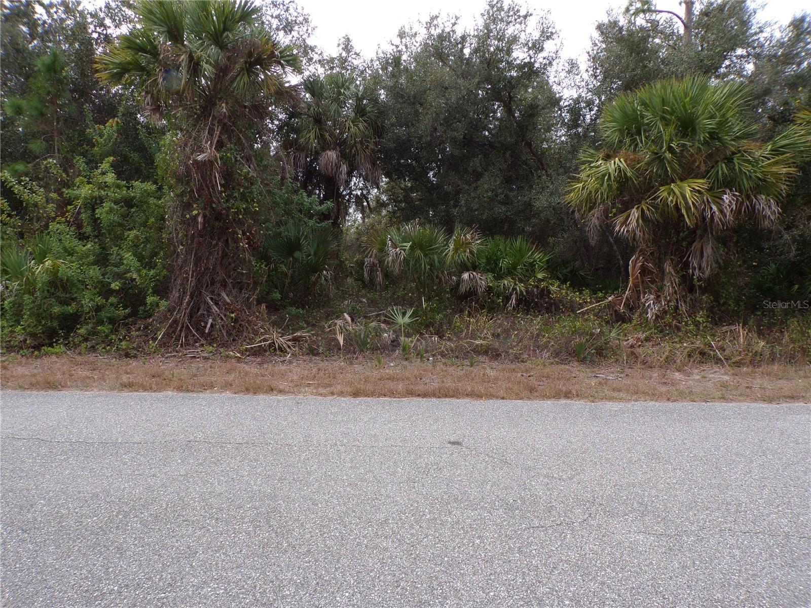 ENID LN — photo 2