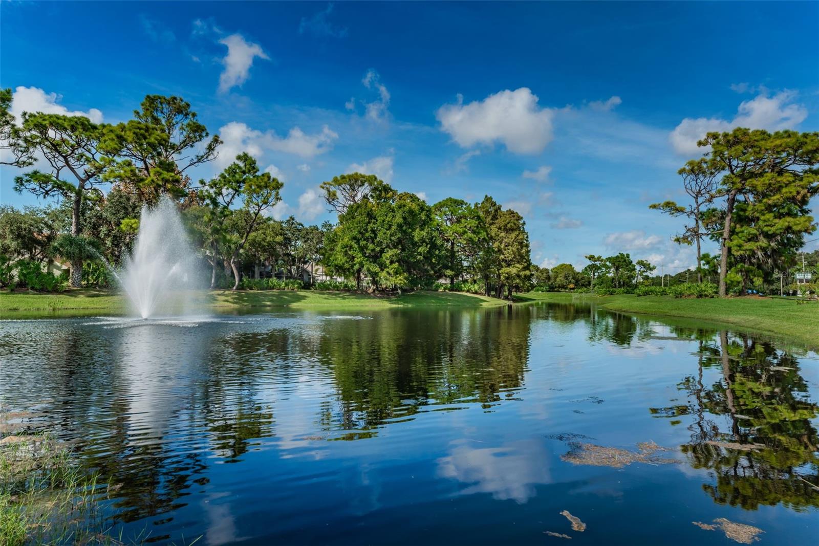 8871 SILVERTHORN RD — photo 93