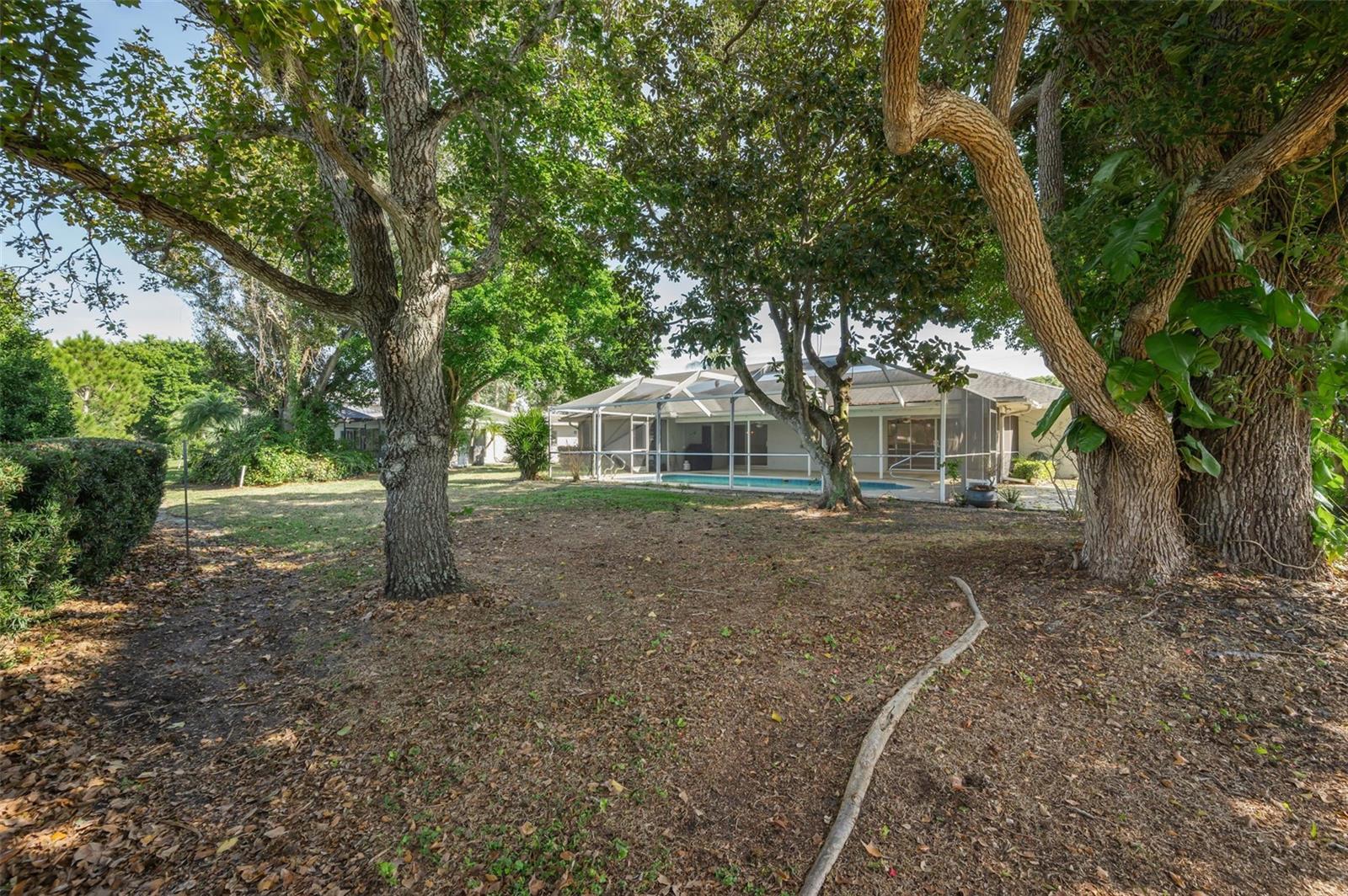 4 HIBISCUS RD — photo 65