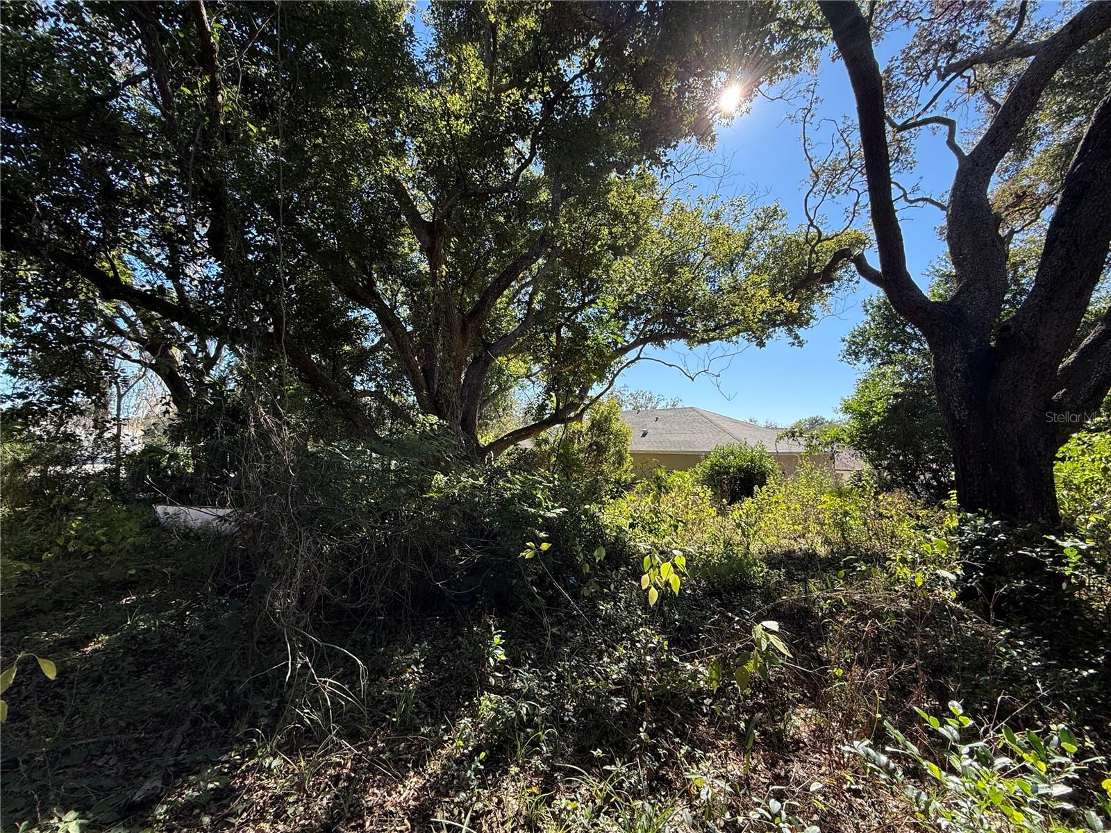 6515 TAYLOR CT — photo 14