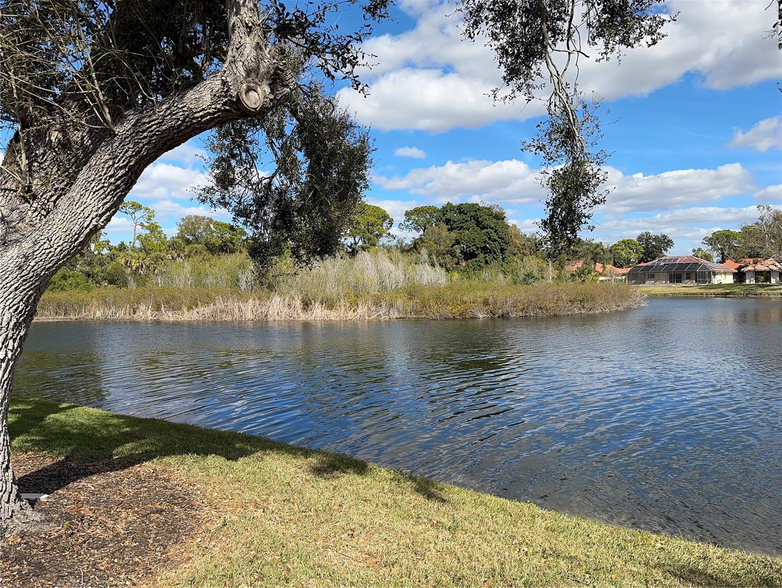 229 LAUREL HOLLOW DR #83 — photo 40