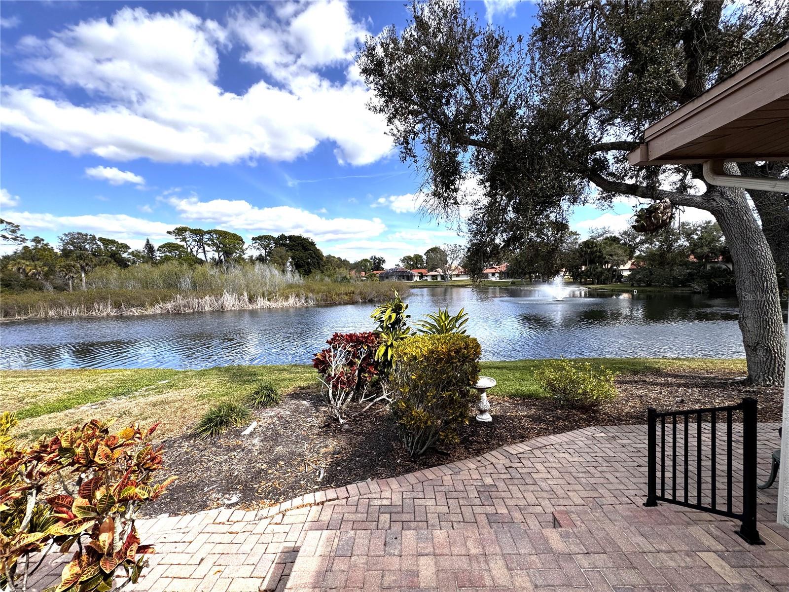 229 LAUREL HOLLOW DR #83 — photo 43