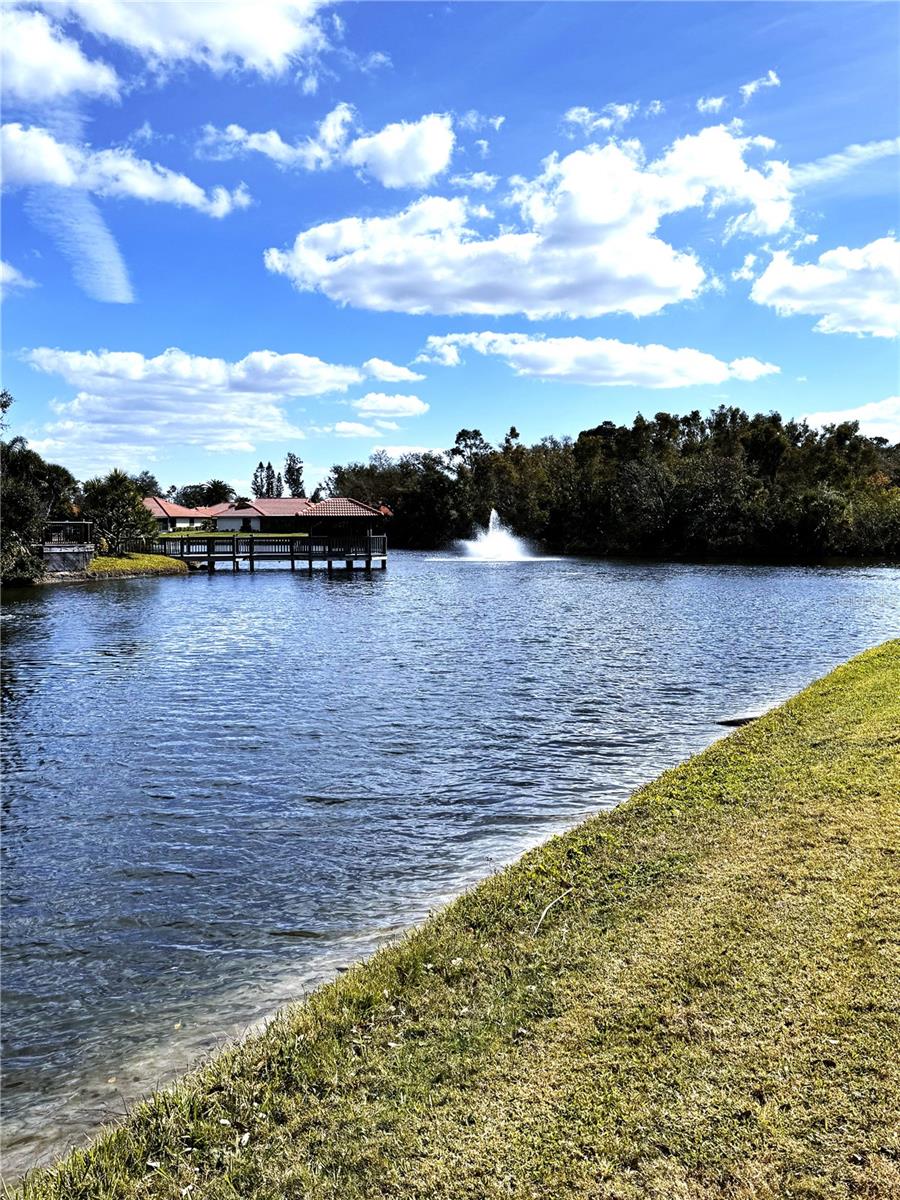 229 LAUREL HOLLOW DR #83 — photo 38