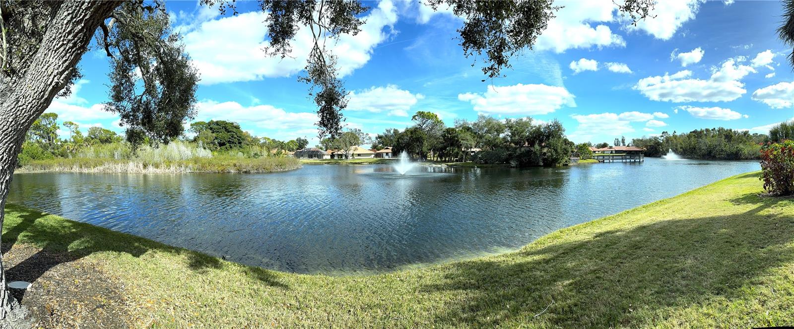 229 LAUREL HOLLOW DR #83 — photo 41