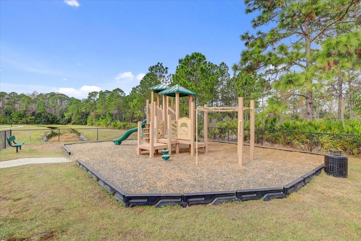 20113 UMBRIA HILL DR — photo 72