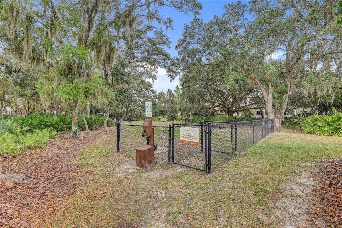 20113 UMBRIA HILL DR — photo 74