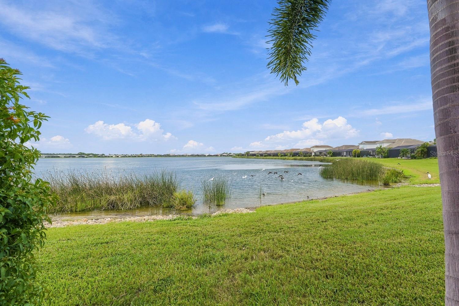 8083 WATERBEND TRL — photo 43