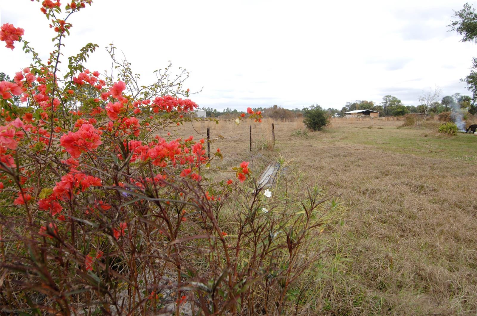 14780 SUGAR BOWL RD — photo 52