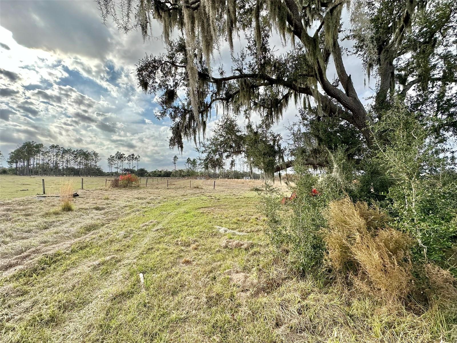 14780 SUGAR BOWL RD — photo 12