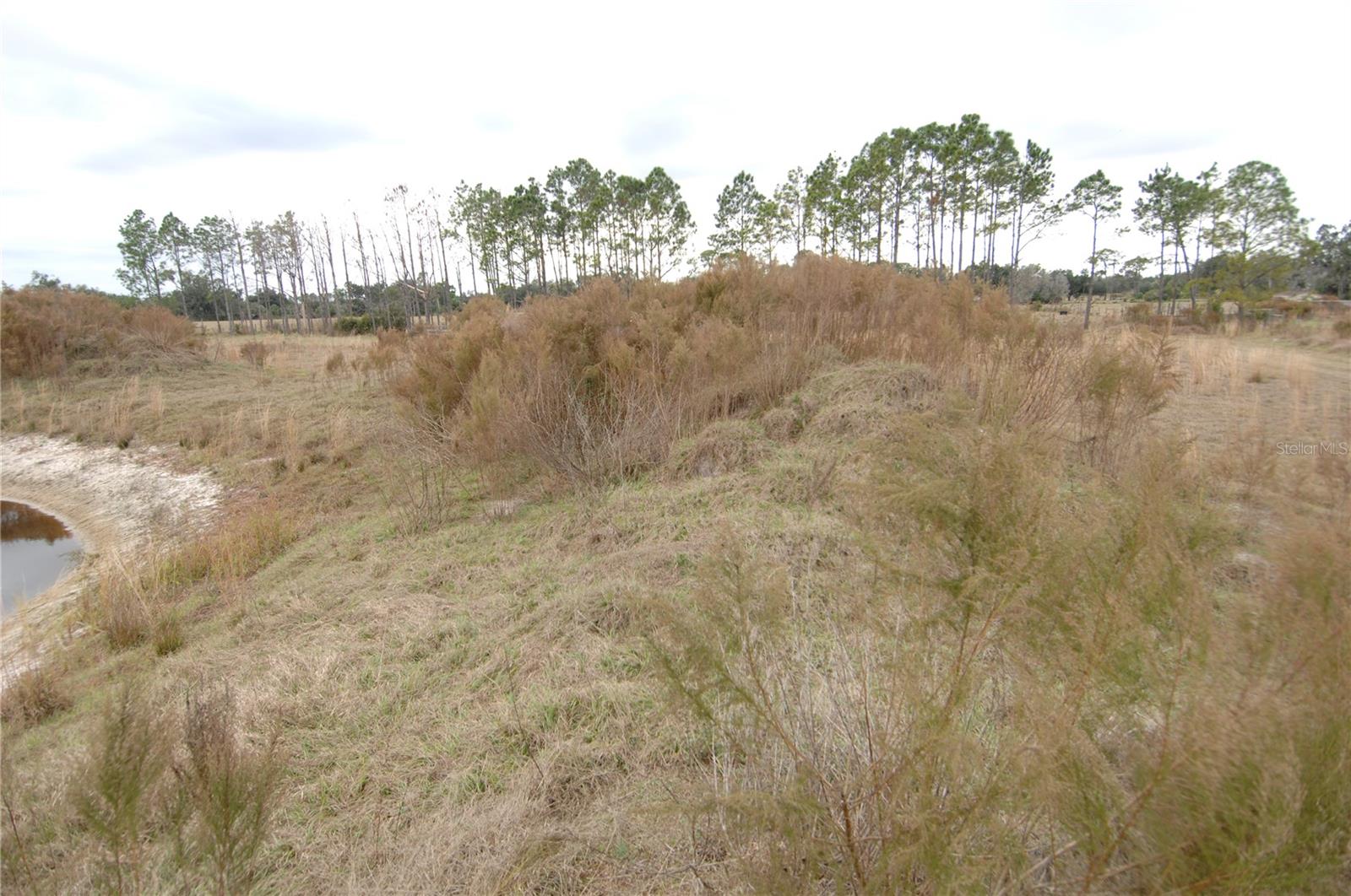 14780 SUGAR BOWL RD — photo 44