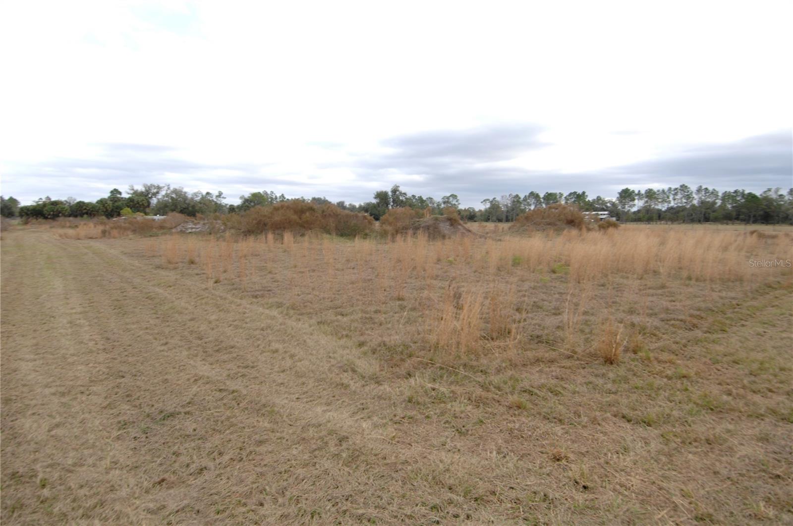 14780 SUGAR BOWL RD — photo 40