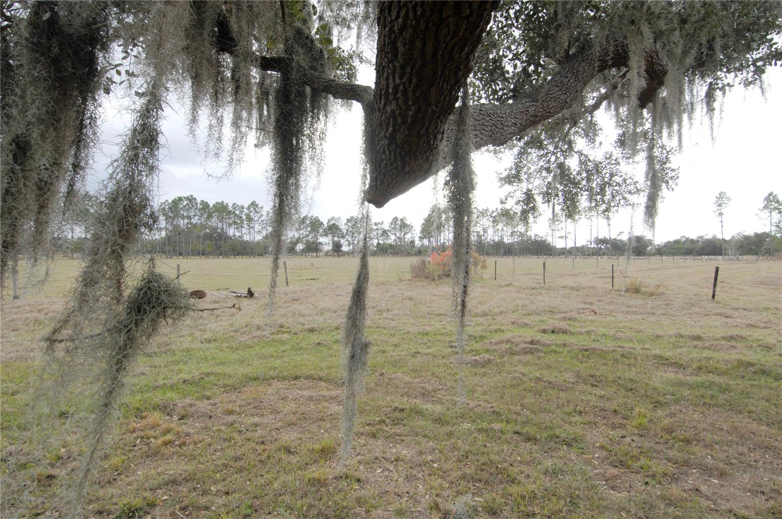 14780 SUGAR BOWL RD — photo 24