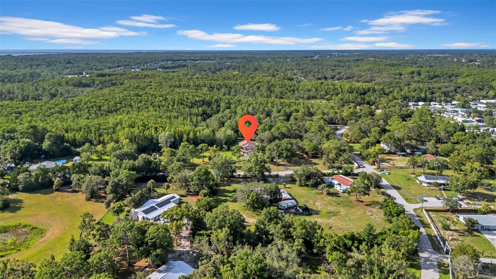10323 SARANAC TRL — photo 99