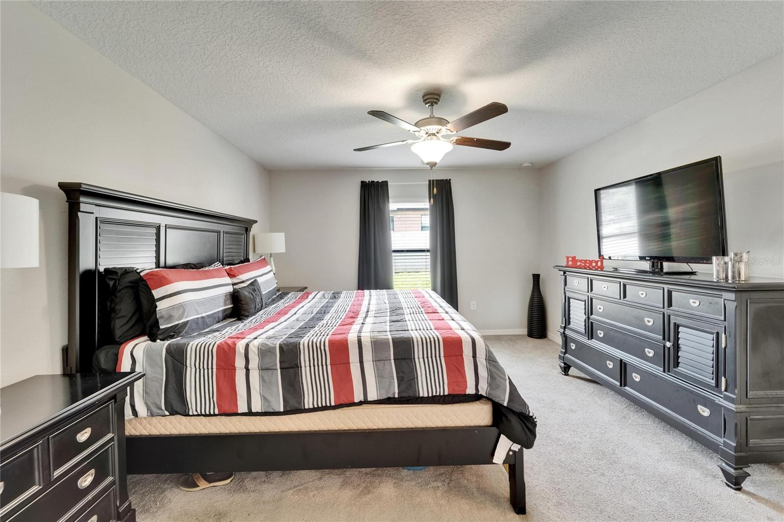 10119 ROSE PETAL PL — photo 10