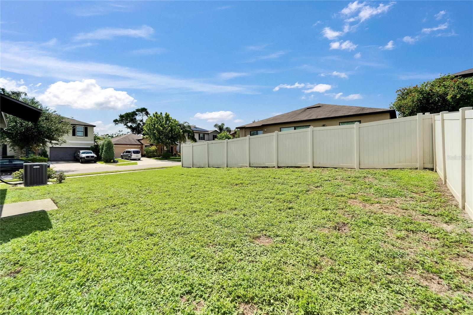10119 ROSE PETAL PL — photo 21