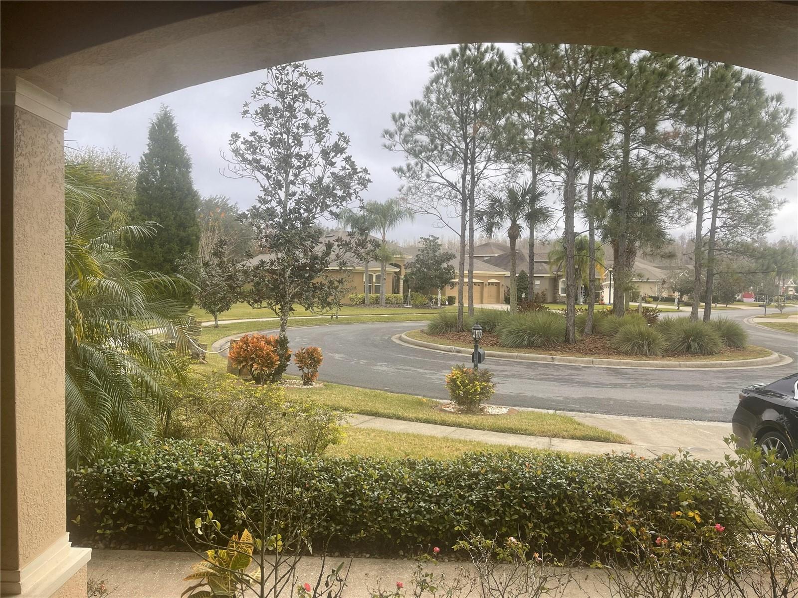 10503 PALM COVE AVE — photo 56