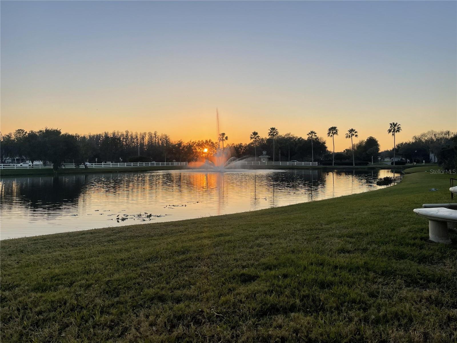 10503 PALM COVE AVE — photo 13