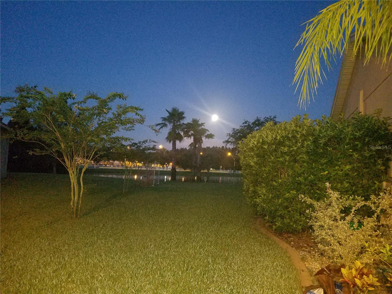 10503 PALM COVE AVE — photo 52