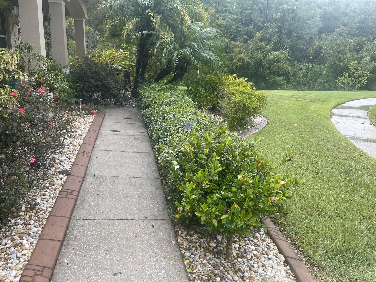 10503 PALM COVE AVE — photo 59