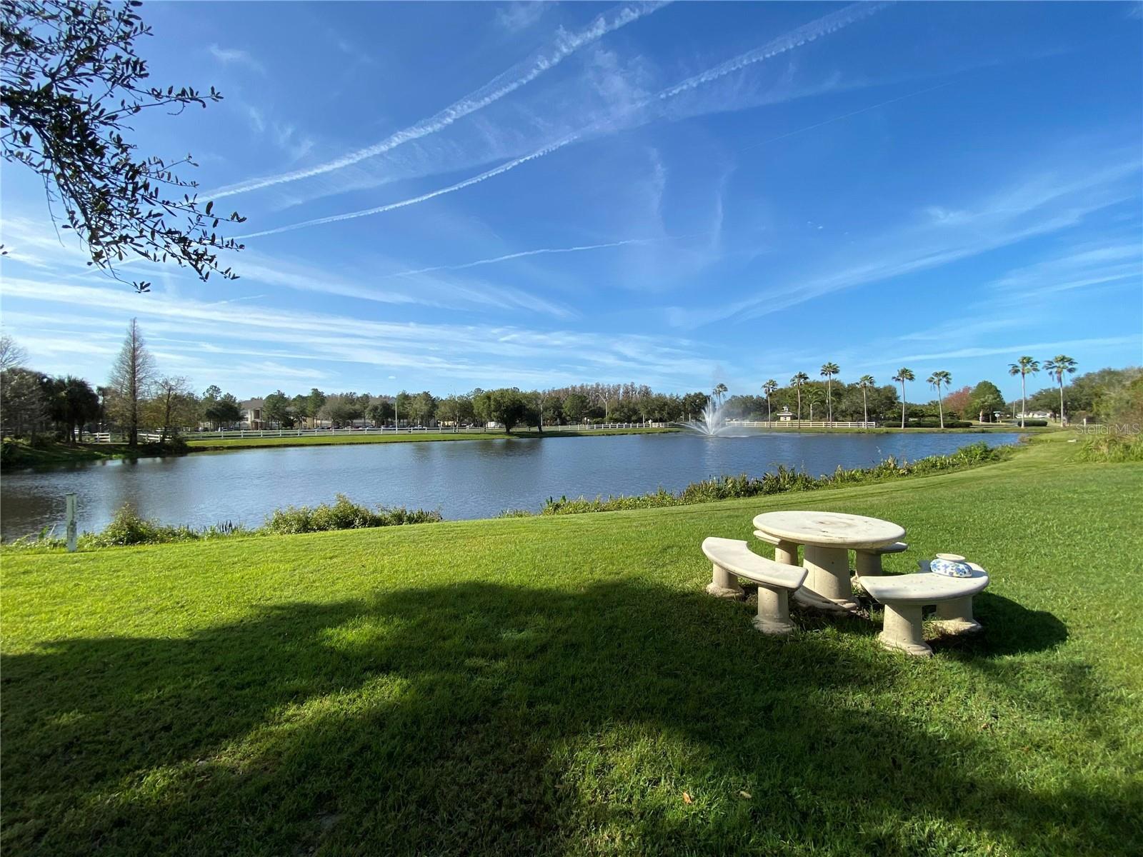 10503 PALM COVE AVE — photo 20