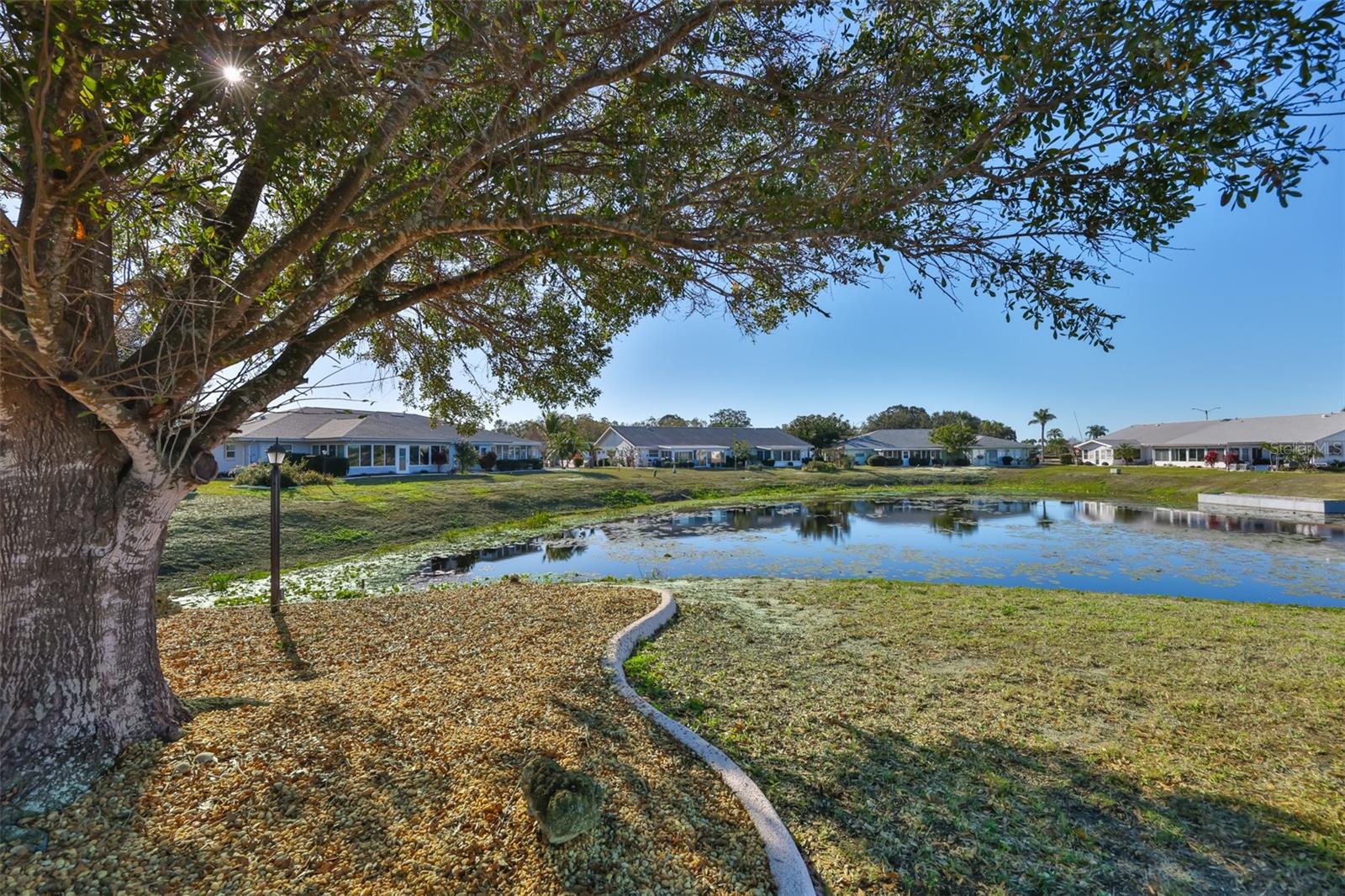 325 GREEN MANOR DR — photo 36