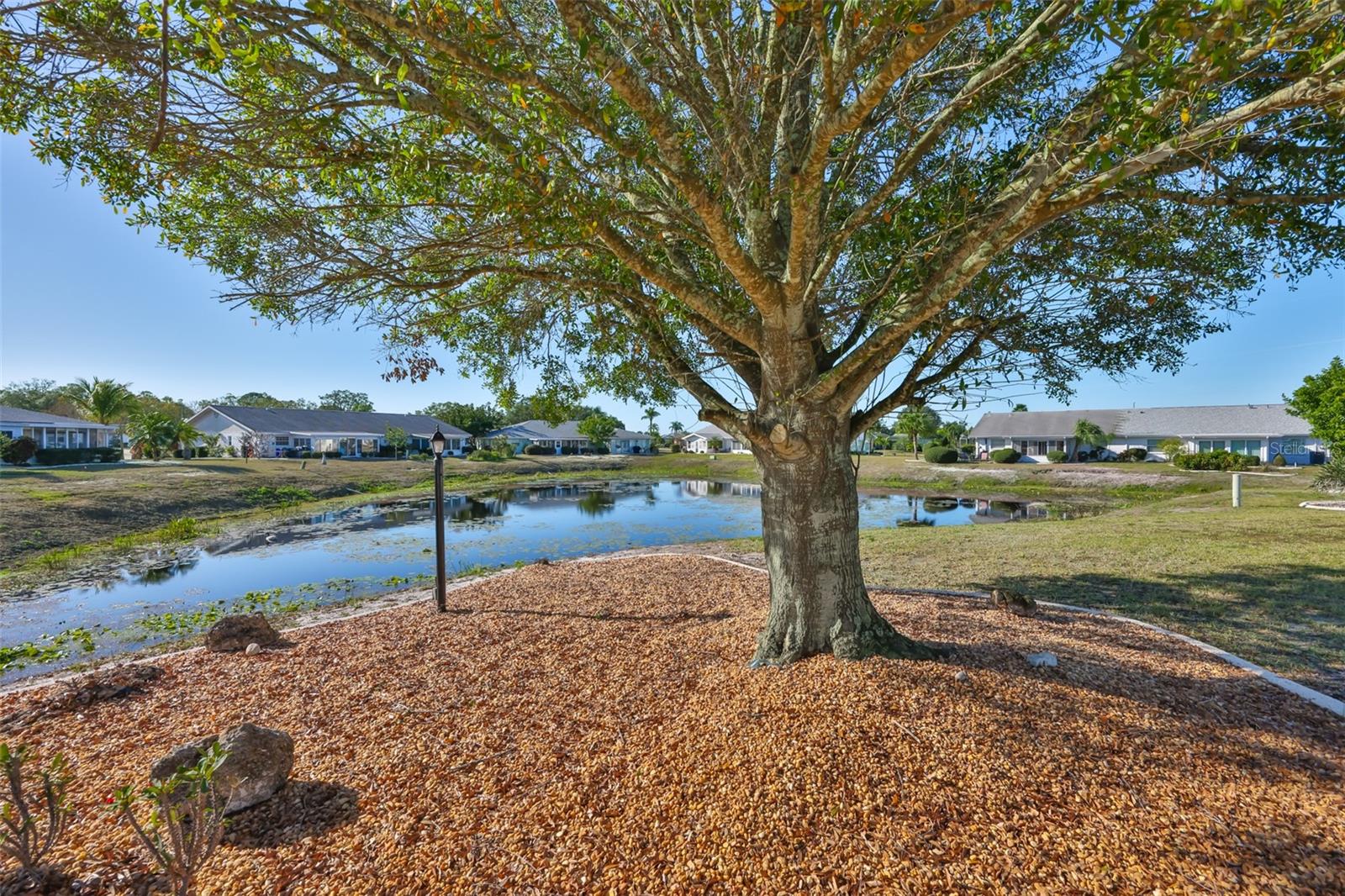 325 GREEN MANOR DR — photo 35