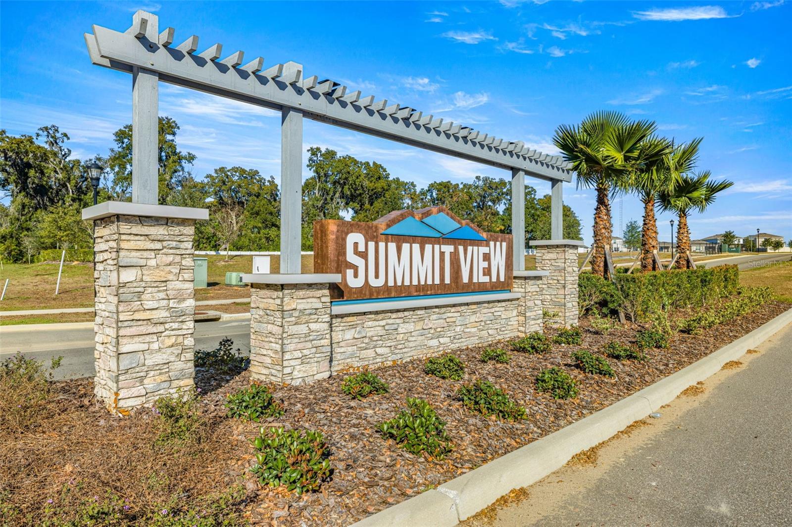 13581 MOUNT IVY CT — photo 49