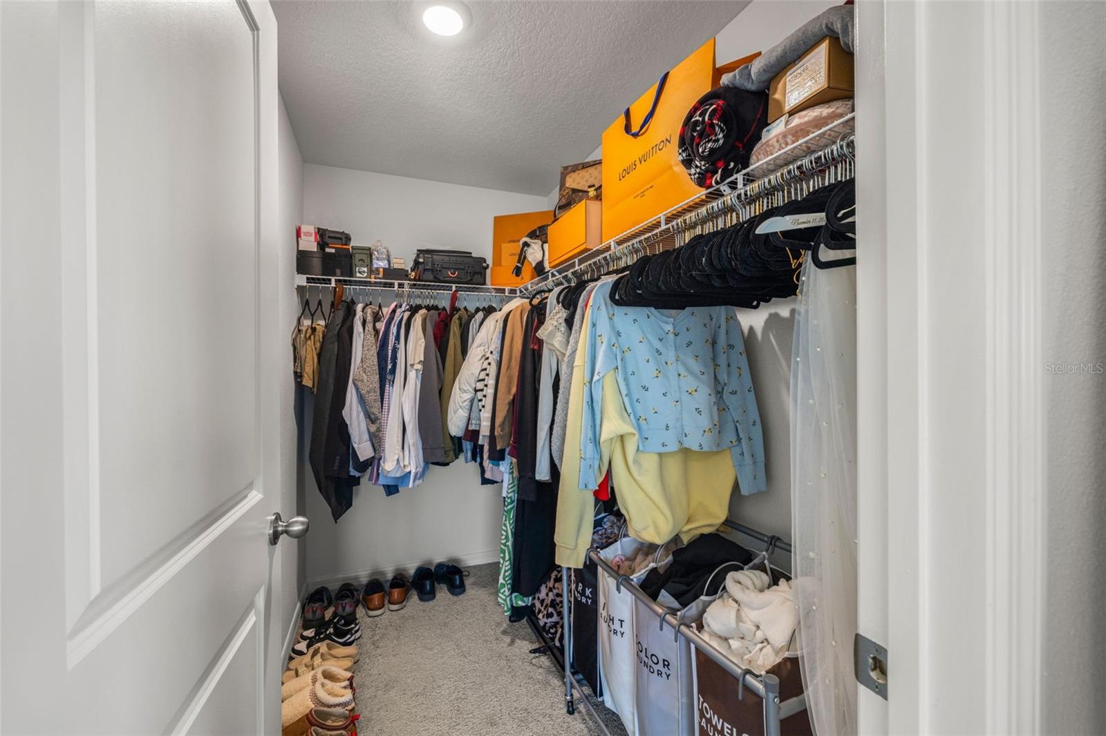 13581 MOUNT IVY CT — photo 25