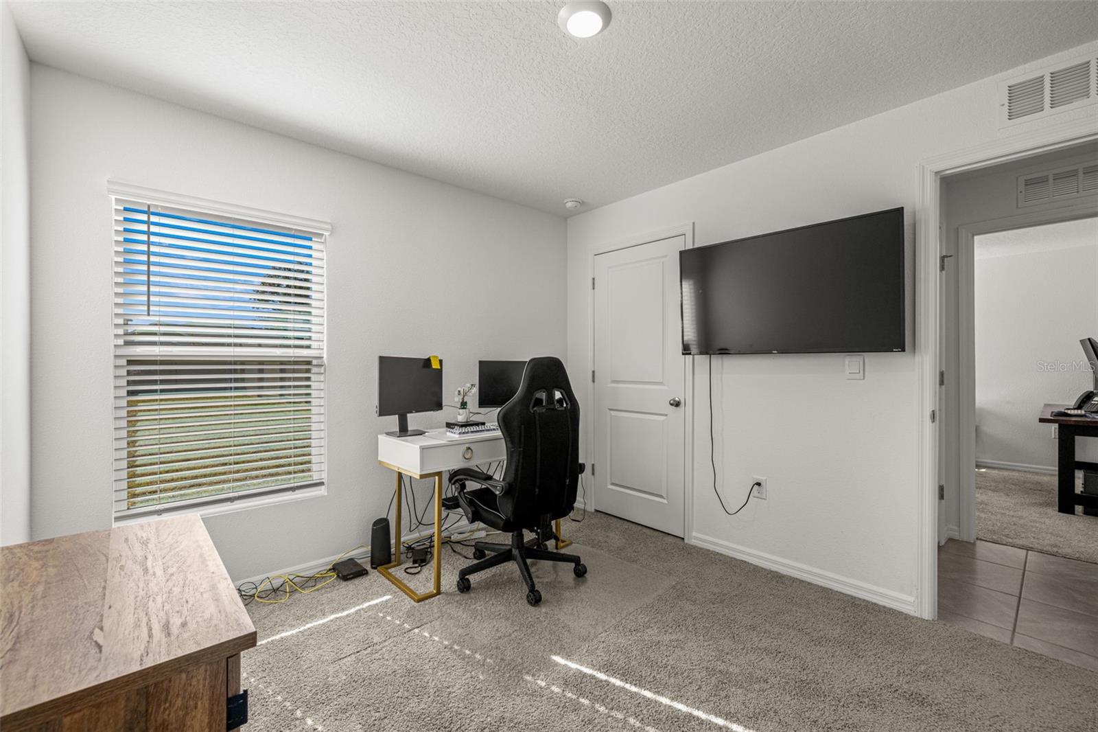 13581 MOUNT IVY CT — photo 29