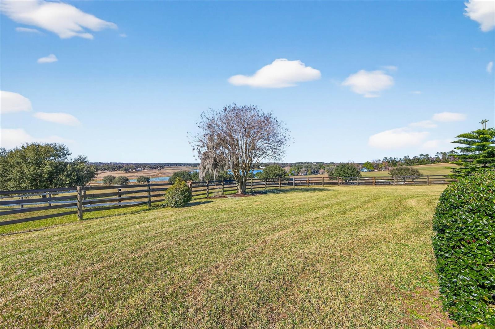 36649 COVINGTON RD — photo 49