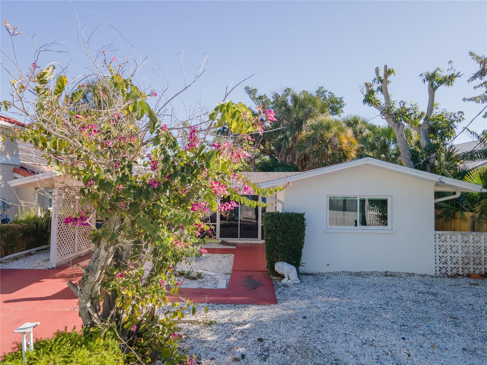 2316 CANASTA DR — photo 5