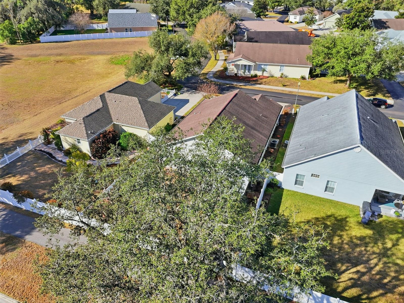 37438 PICKETTS MILL AVE — photo 48