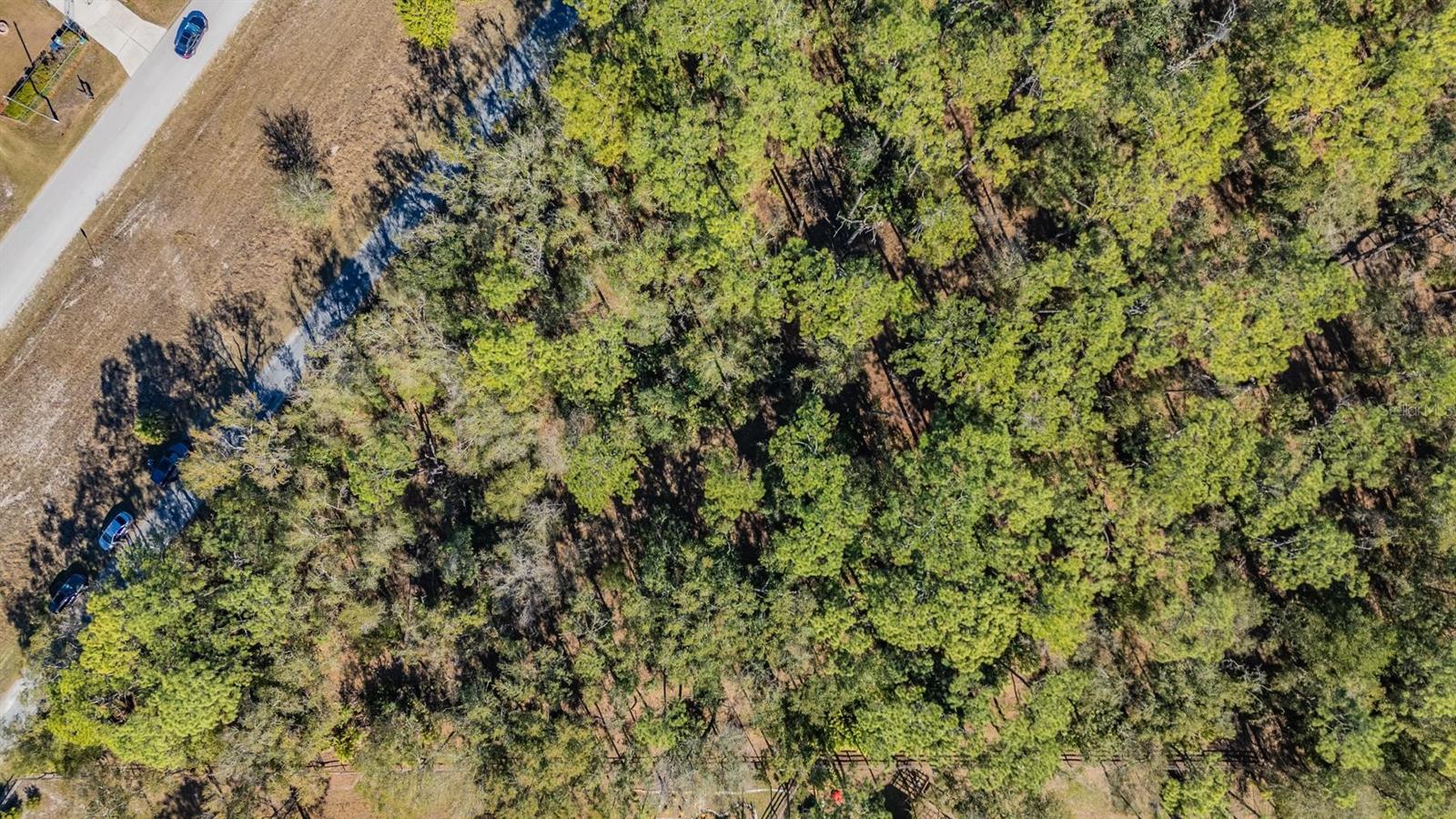 5504 SUN UP RD — photo 10