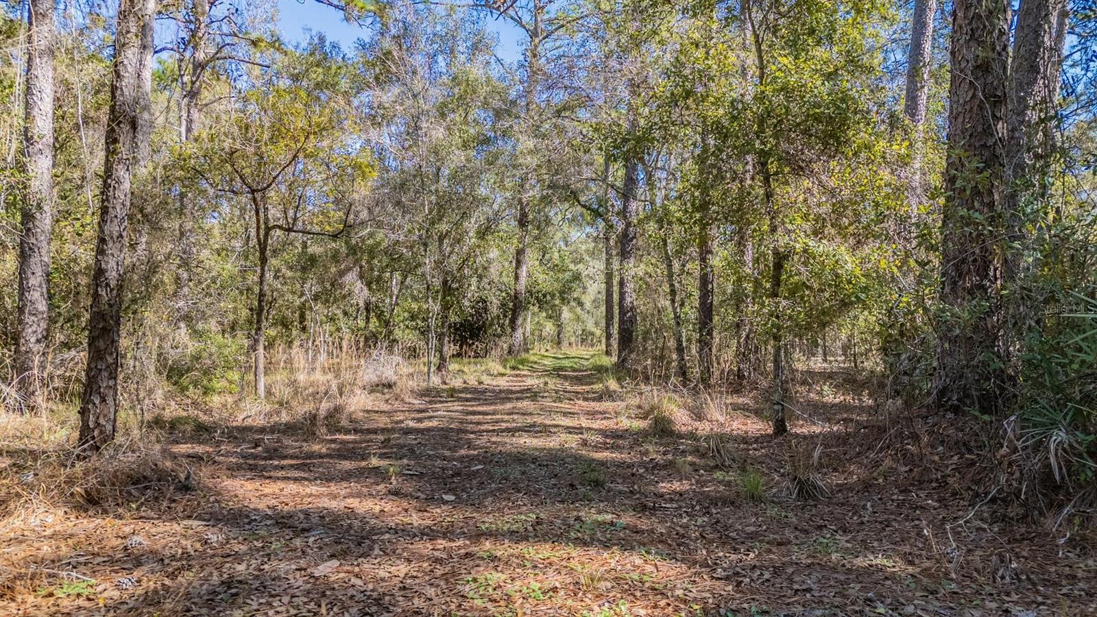 5504 SUN UP RD — photo 19