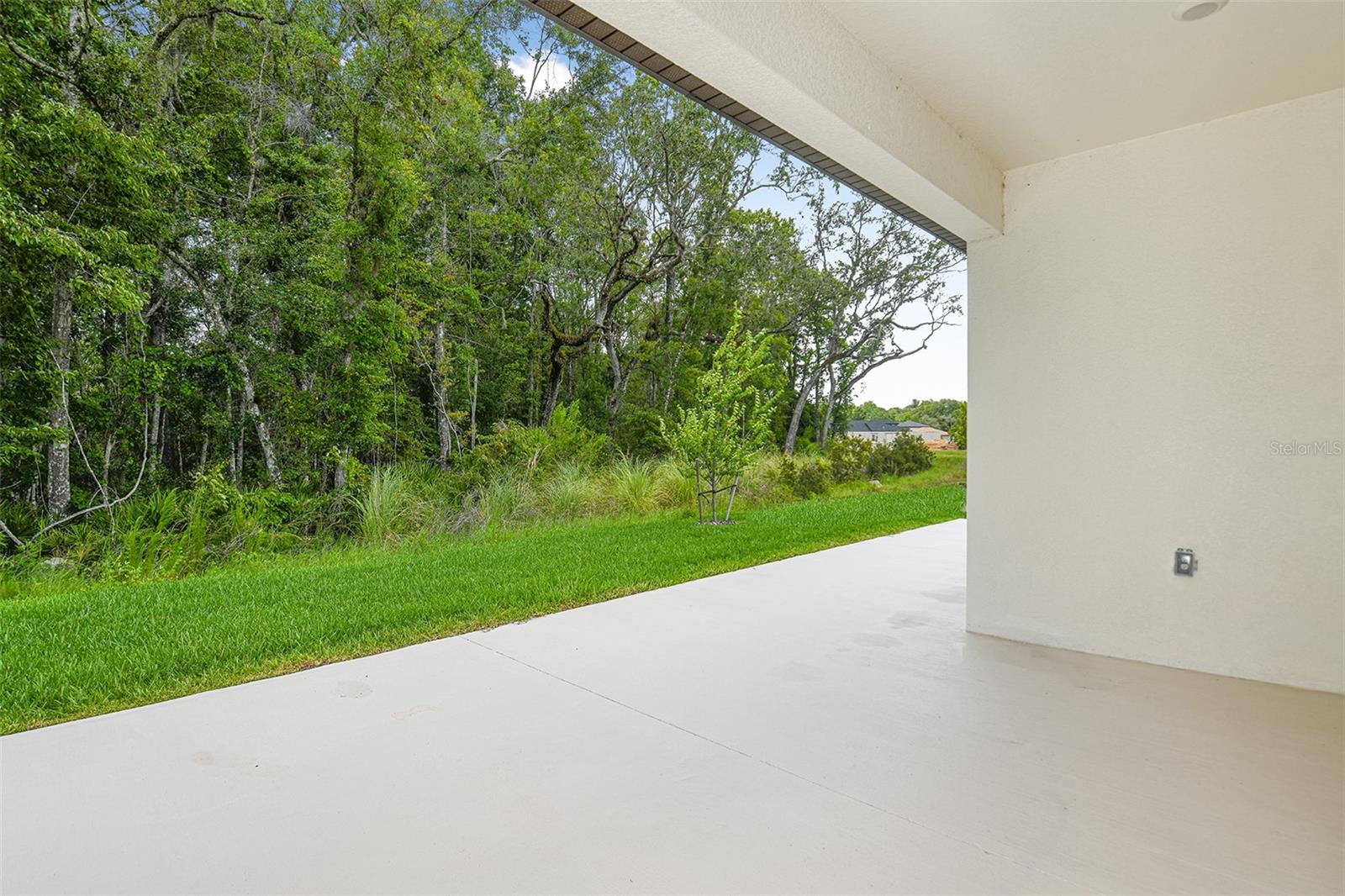 11335 STRIPED BASS CT — photo 15