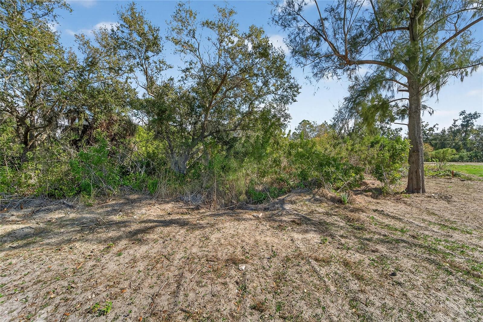 819 GOLF AND SEA BLVD — photo 23