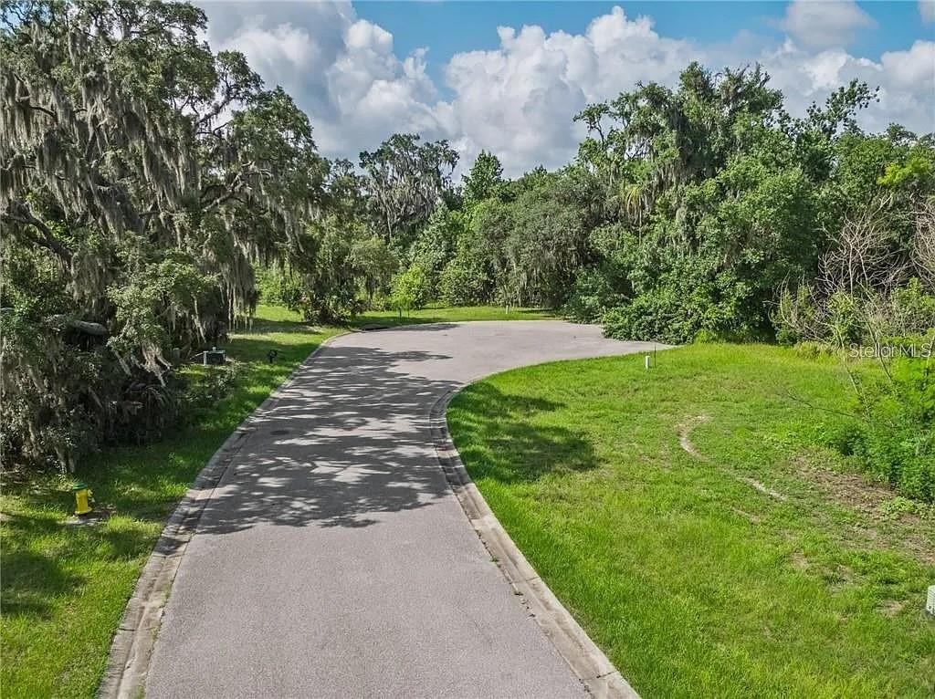 8353 ALAFIA POINTE DR — photo 2